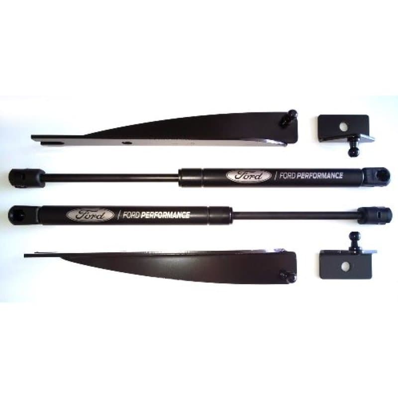 FR Hood Lift Kits - User 1