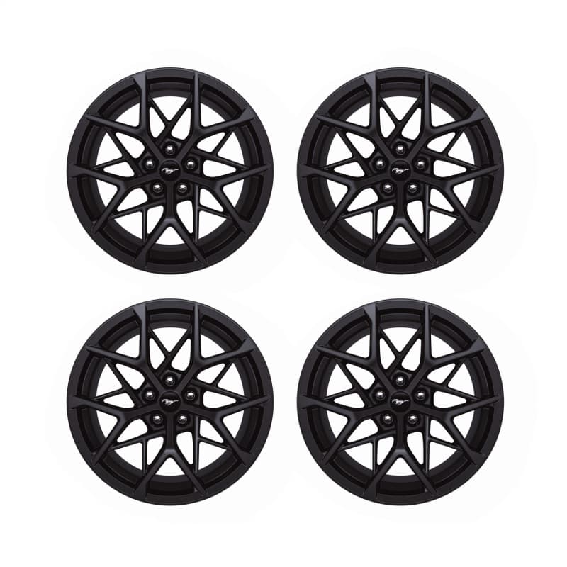 FR Wheels - Photo - Primary