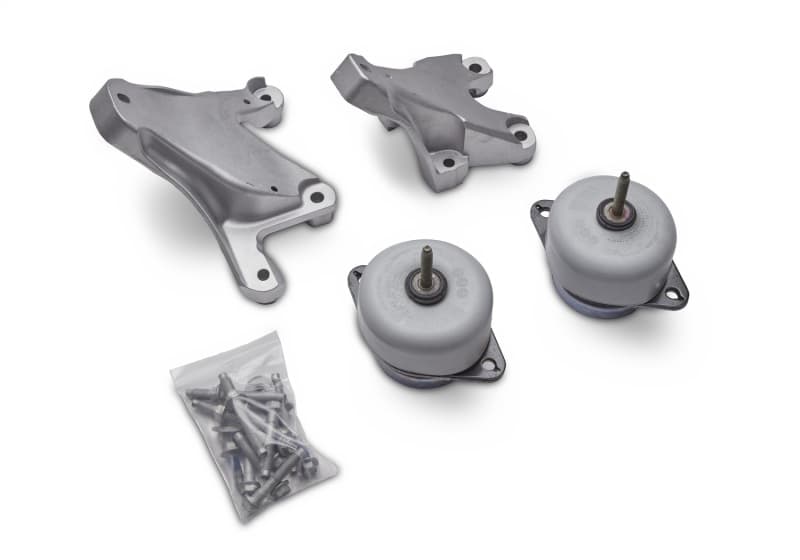 FR Engine Mounts - Photo - Unmounted