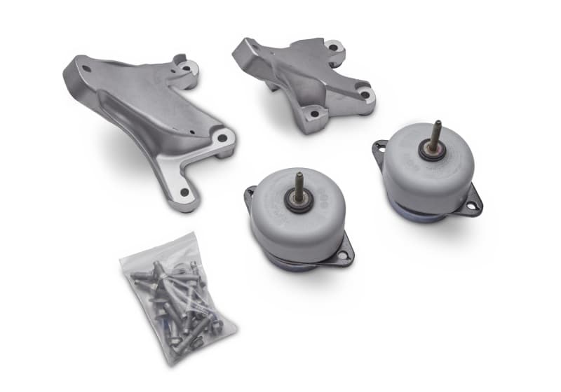 FR Engine Mounts - Photo - Unmounted