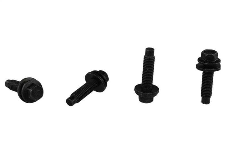 FR Bead Locks - Photo - Unmounted