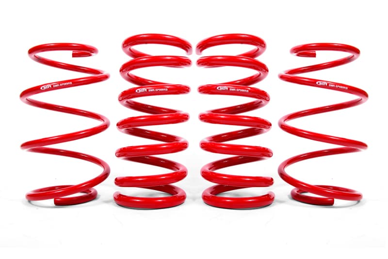 BMR Lowering Springs - User 1