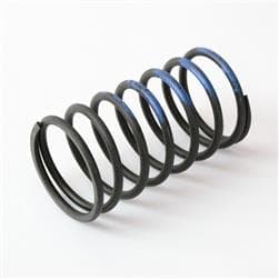 TS BOV Springs - Photo - Primary