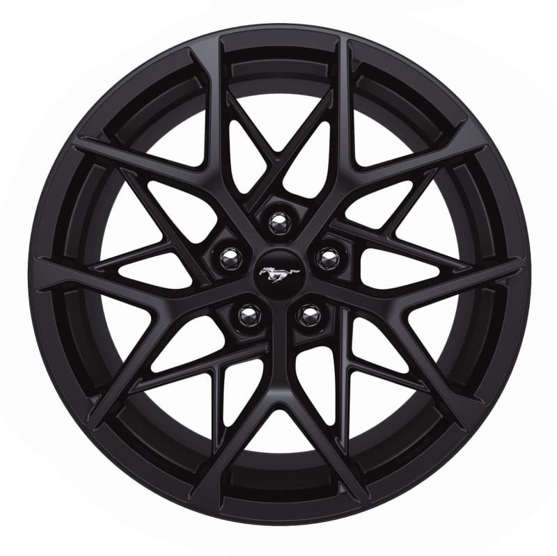 FR Wheels - Photo - Unmounted