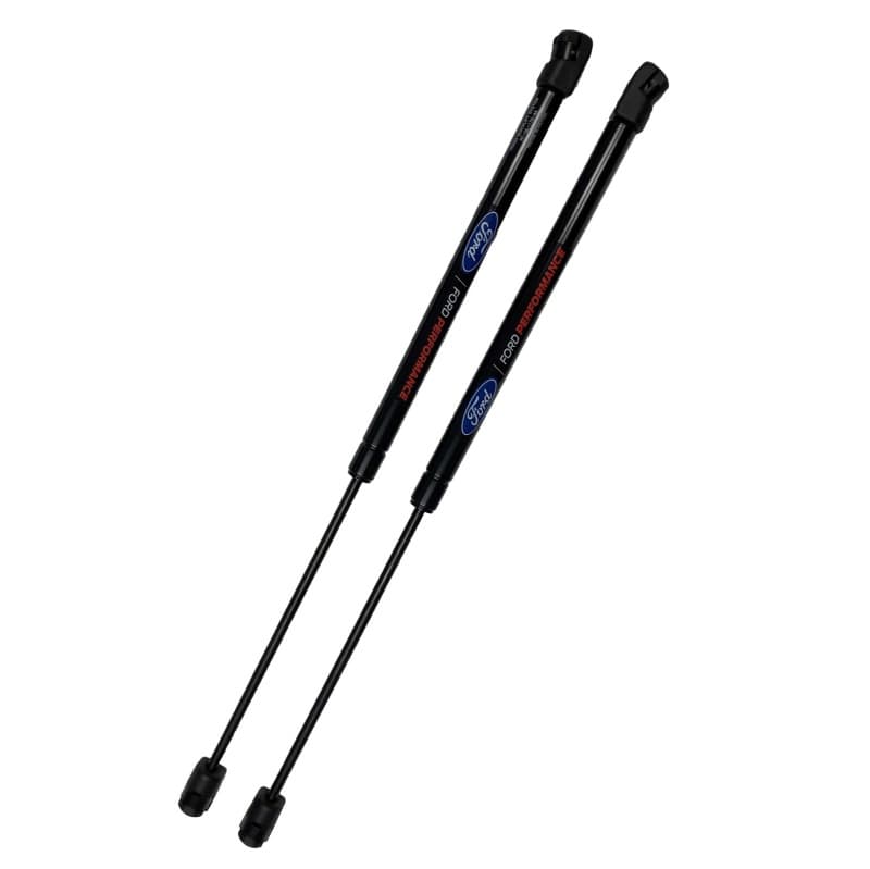 FR Hood Lift Kits - Photo - Unmounted