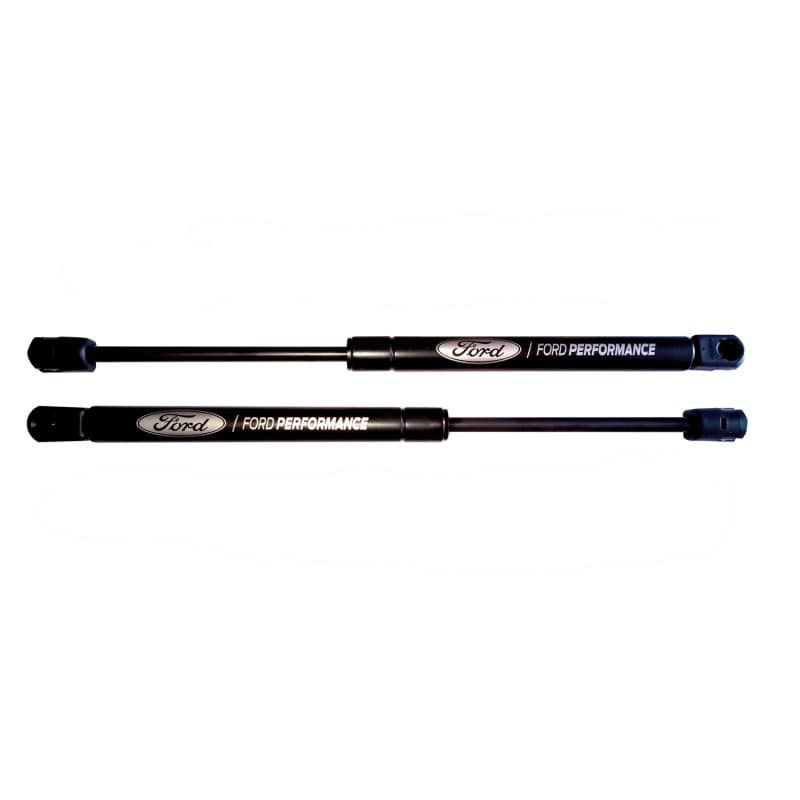 FR Hood Lift Kits - Photo - Unmounted